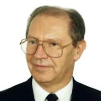 Tadeusz Pałko, prof. dr hab. inż.
