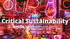  “Critical Sustainability” course