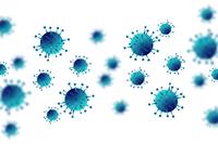 Vaccination Vaccination