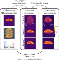 fig_graphical_abstract